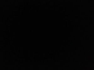 Meet your Posher, Madeline